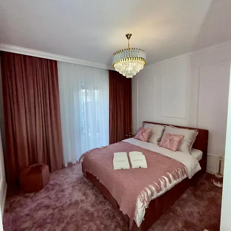 Just Unique Rose 포즈난